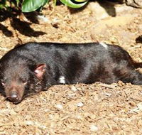 Symbio Wildlife Park - ACT Tourism