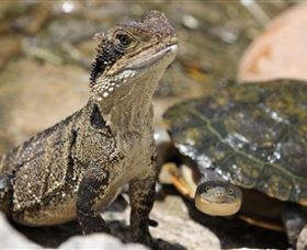 Symbio Wildlife Park - ACT Tourism 3