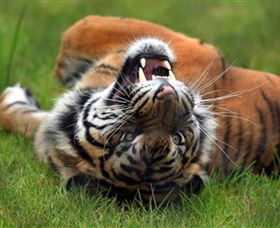 Symbio Wildlife Park - ACT Tourism 6