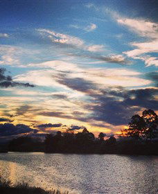 Governor Phillip Park - ACT Tourism 0