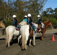 Darkes Forest Riding Ranch - ACT Tourism