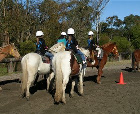 Darkes Forest Riding Ranch - ACT Tourism 0