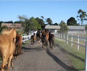 Darkes Forest Riding Ranch - ACT Tourism 1