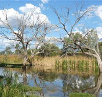 Lagoon Creek - ACT Tourism