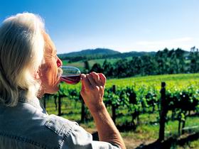 Ashton Hills Vineyard - ACT Tourism 0