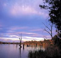 Loch Luna Game Reserve and Moorook Game Reserve - ACT Tourism