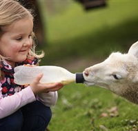 Hahndorf Farm Barn - ACT Tourism
