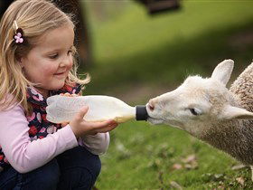 Hahndorf Farm Barn - ACT Tourism 0