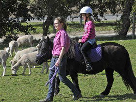 Hahndorf Farm Barn - ACT Tourism 2