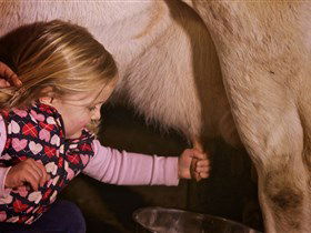 Hahndorf Farm Barn - ACT Tourism 1