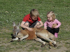 Hahndorf Farm Barn - ACT Tourism 3