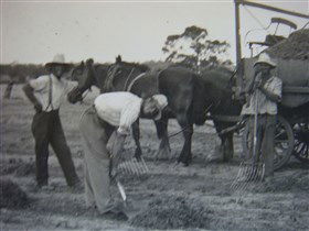 Platform 1 Heritage Farm Railway - ACT Tourism 3