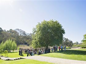 Howard Vineyard - ACT Tourism 1
