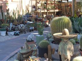 Cactus Creations - ACT Tourism 0