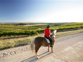 Kidman Trail - ACT Tourism 0