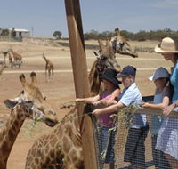 Monarto Open Range Zoo - ACT Tourism