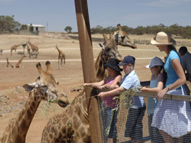Monarto Open Range Zoo - ACT Tourism 0
