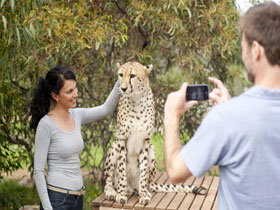 Monarto Open Range Zoo - ACT Tourism 1