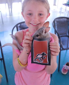 Top Didj Cultural Experience & Art Gallery - ACT Tourism 2