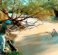 Charleville - Ward River Fishing Spot - ACT Tourism