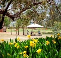 Charleville - Graham Andrews Parklands - ACT Tourism