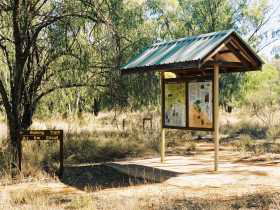 Charleville Self-Drive Itineraries - ACT Tourism 0