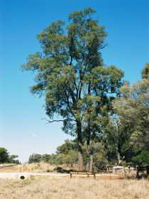 Charleville Self-Drive Itineraries - ACT Tourism 1