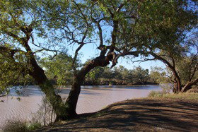 Charleville - 27 Mile Warrego River Fishing Spot - ACT Tourism 4