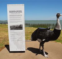 Birdman of the Coorong - ACT Tourism