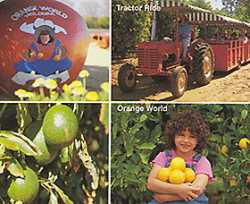 Orange World - ACT Tourism 1