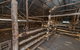 Mungo Woolshed - thumb 2