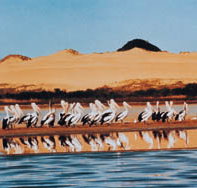 Coorong National Park - ACT Tourism