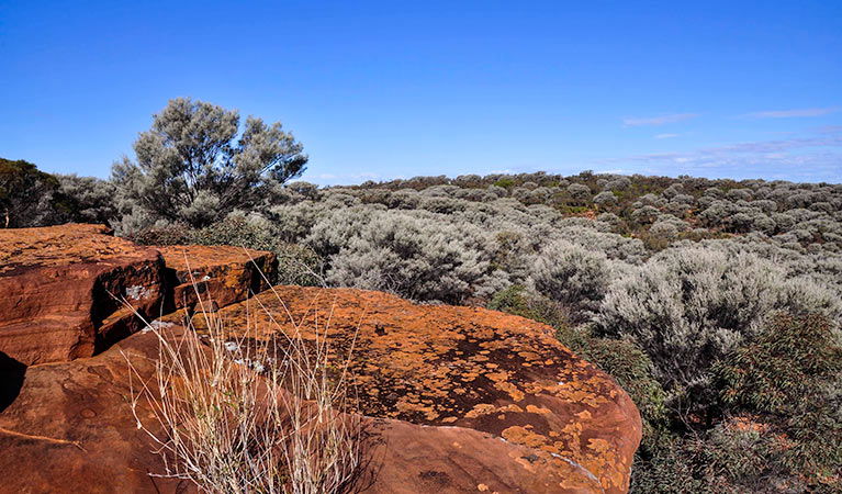 Cubba NSW ACT Tourism
