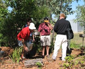 Mount Surprise Gems - ACT Tourism 2