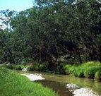 Salvator Rosa Section - Carnarvon National Park - ACT Tourism