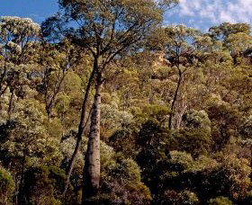 Ka Ka Mundi, Carnarvon National Park - ACT Tourism 0