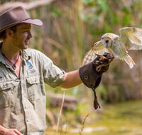 Territory Wildlife Park - ACT Tourism