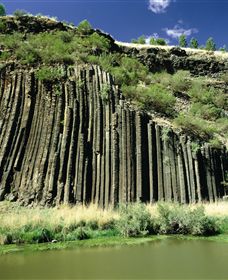 Organ Pipes National Park - ACT Tourism 0