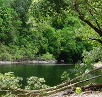 Broadwater Abergowrie State Forest - ACT Tourism