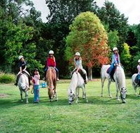 Limestone Coast Horseriding - ACT Tourism