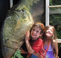 Australian Opal Centre - ACT Tourism