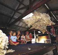 Shear Outback the Australian Shearers Hall of Fame - ACT Tourism