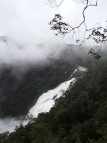 Tully Falls And Tully Gorge - ACT Tourism 0