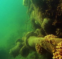 Wreck Diving at Magnetic Island - ACT Tourism