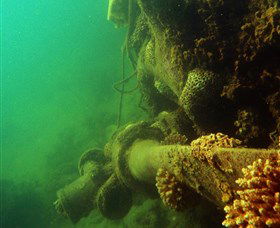 Wreck Diving At Magnetic Island - ACT Tourism 0