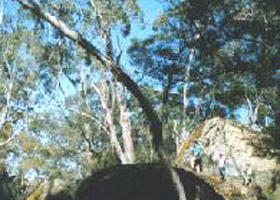 Dergholm VIC ACT Tourism