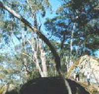 Dergholm State Park - ACT Tourism