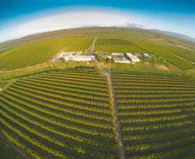 Golden Drop Winery - ACT Tourism 0