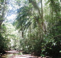 Mount Lewis National Park - ACT Tourism