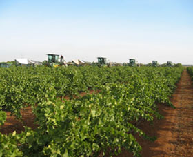 Warburn Estate - ACT Tourism 1